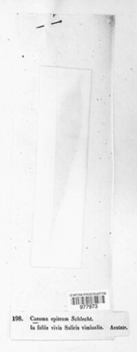 Image Associated With the Occurence